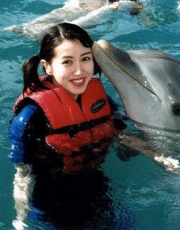 バハマでイルカと泳ぐ